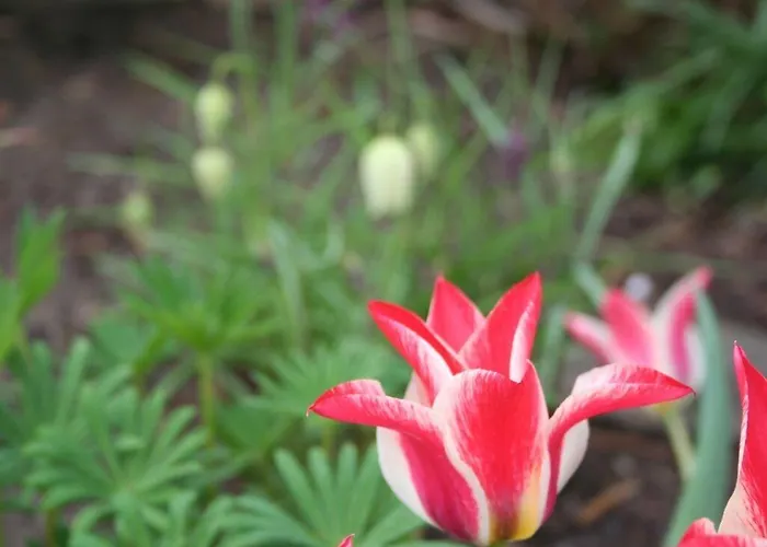 Appartamento Messezimmer 4 U 2