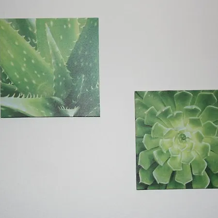 梅瑟齐默尔4 U 2公寓